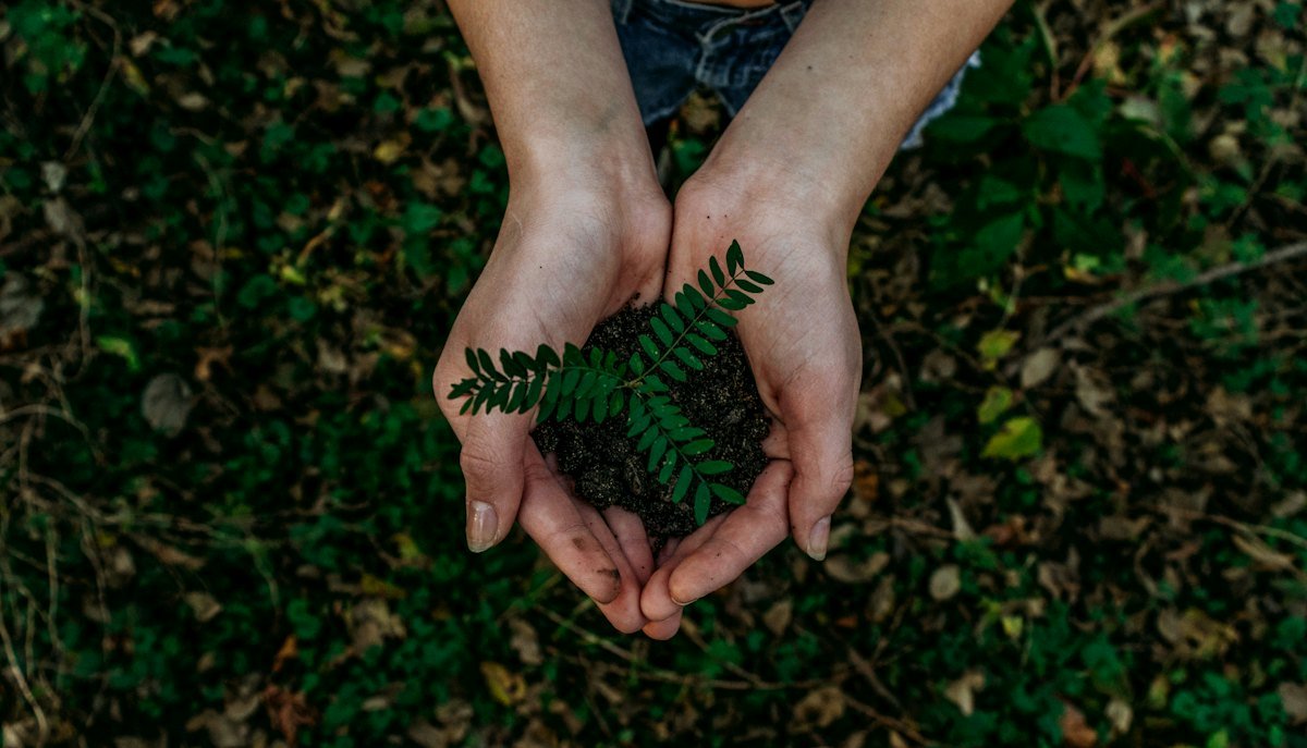 Manos sosteniendo tierra oscura, lista para cultivo